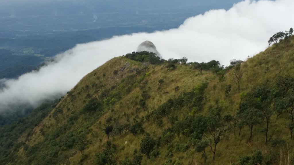 2017-11-09 15.12.27.jpg