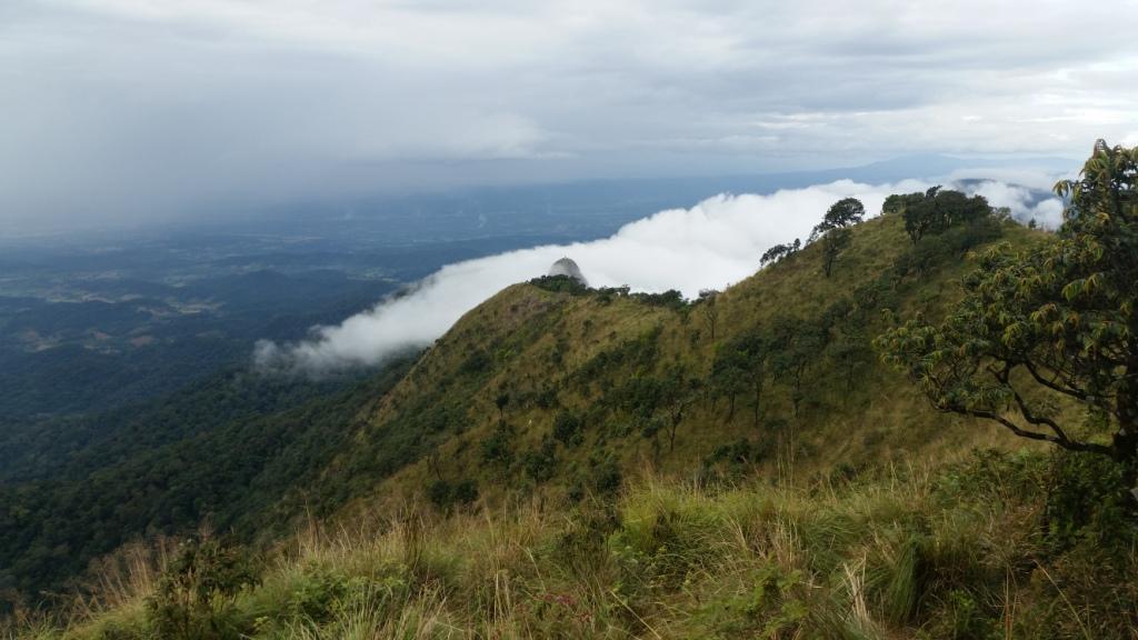 2017-11-09 15.12.32.jpg