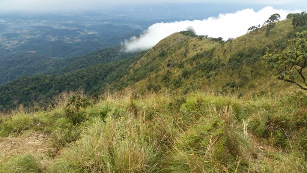 2017-11-09 15.13.47.jpg