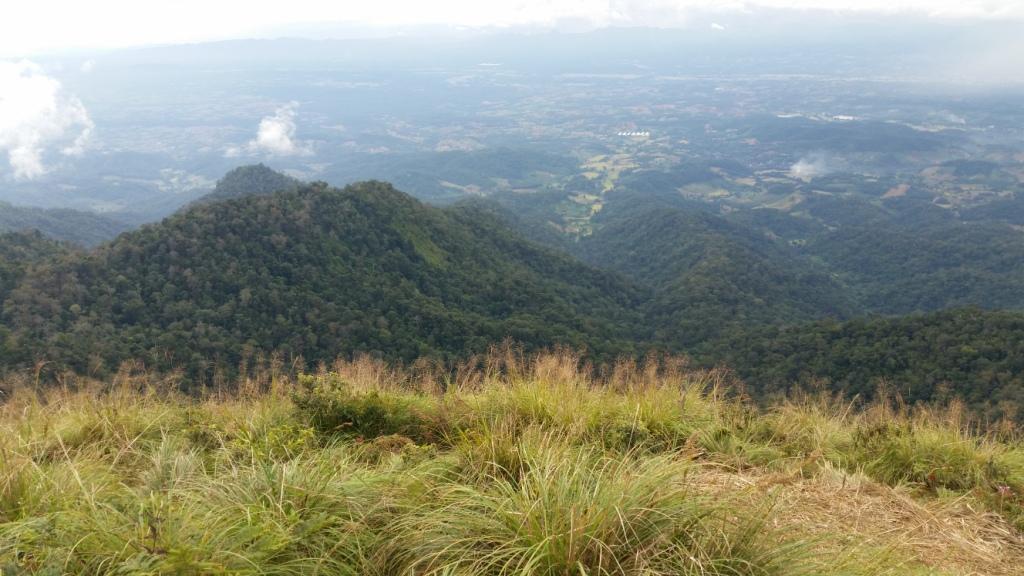 2017-11-09 15.14.03.jpg