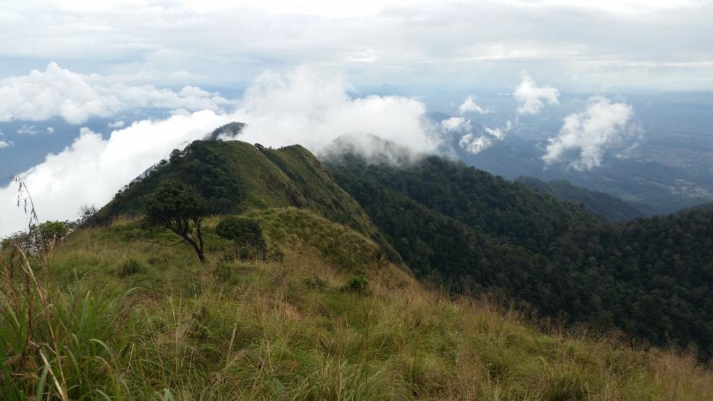 2017-11-09 15.14.32.jpg