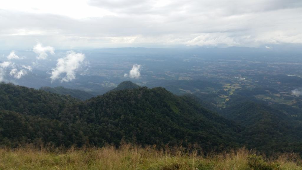 2017-11-09 15.14.39.jpg