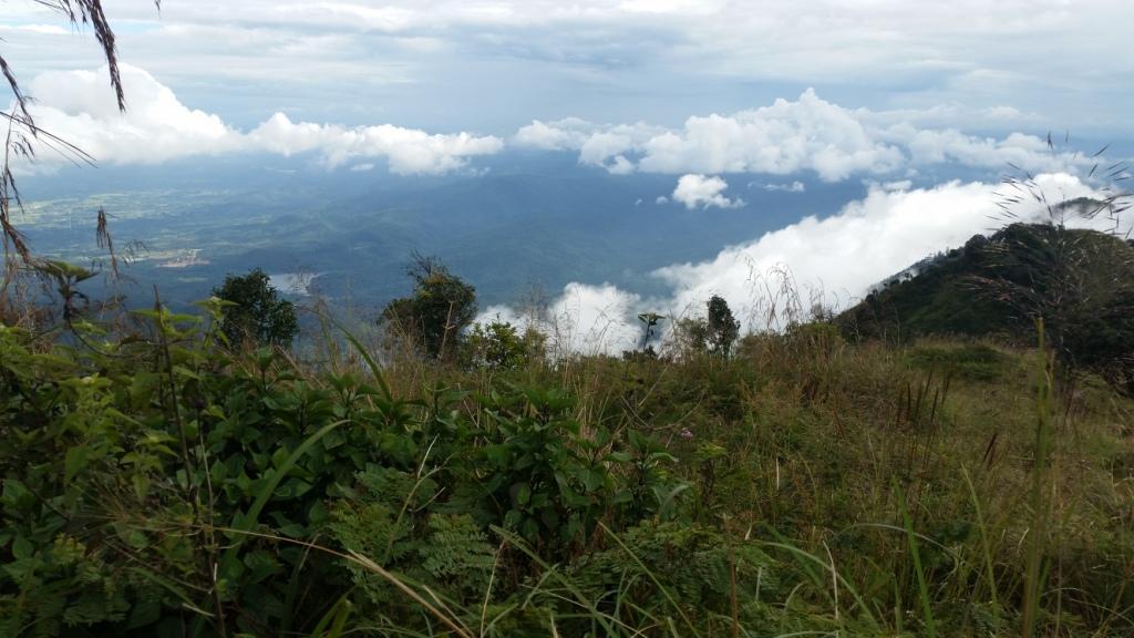 2017-11-09 15.15.11.jpg