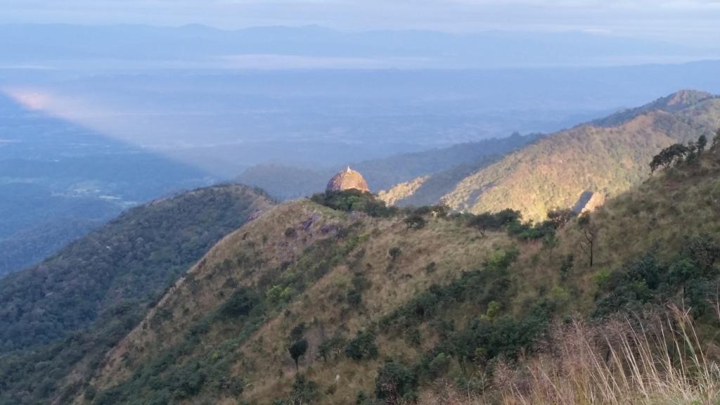 2017-11-10 06.43.52.jpg