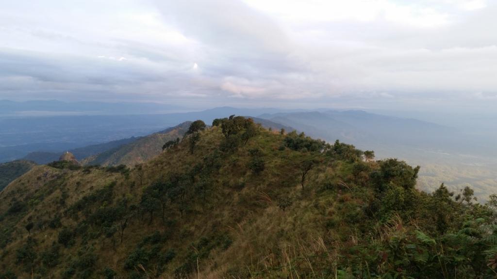 2017-11-10 06.45.00.jpg