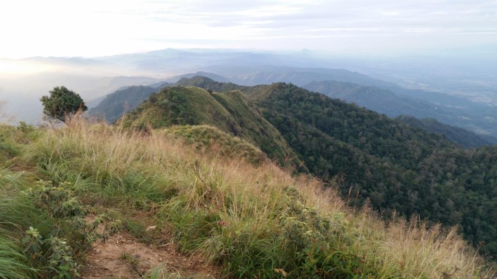 2017-11-10 06.47.12.jpg