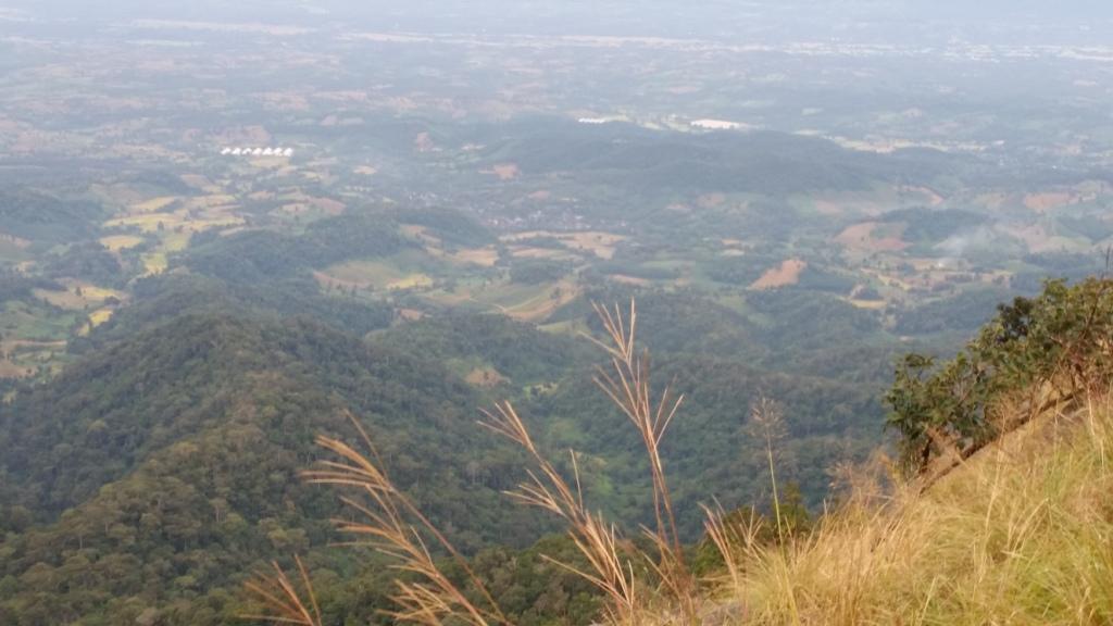 2017-11-10 07.17.21.jpg