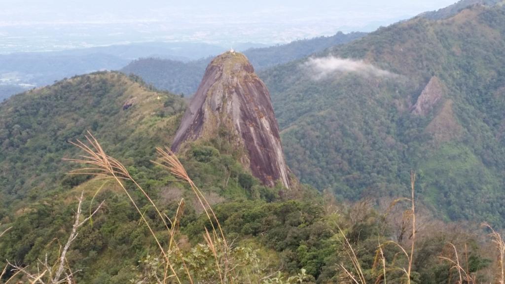 2017-11-10 07.27.30.jpg