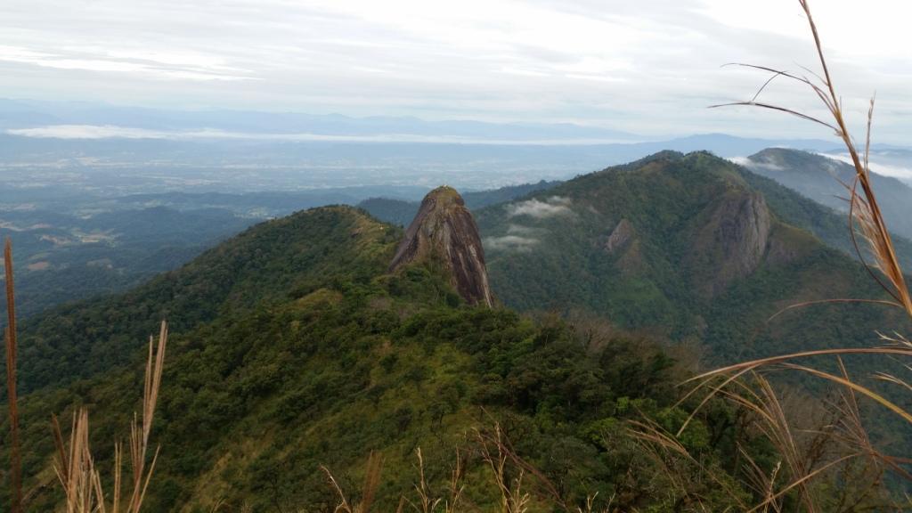 2017-11-10 07.33.09.jpg