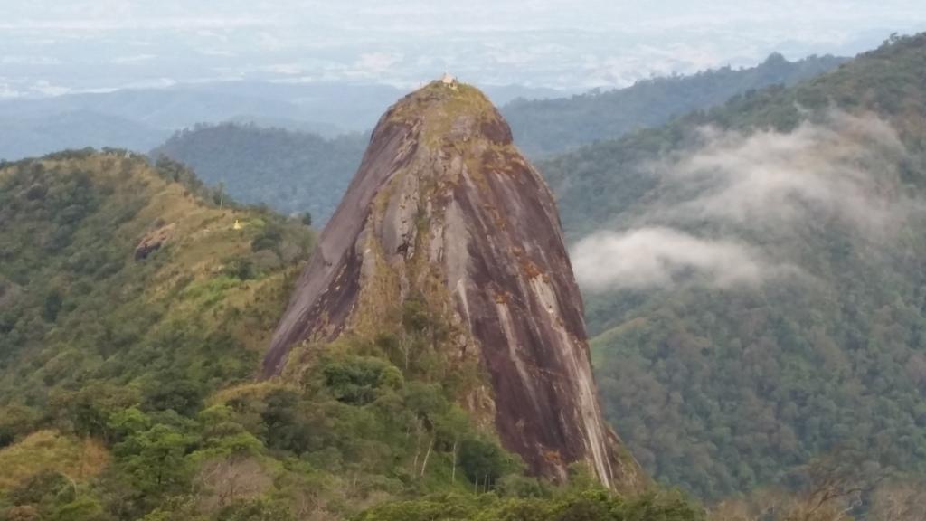 2017-11-10 07.33.37.jpg