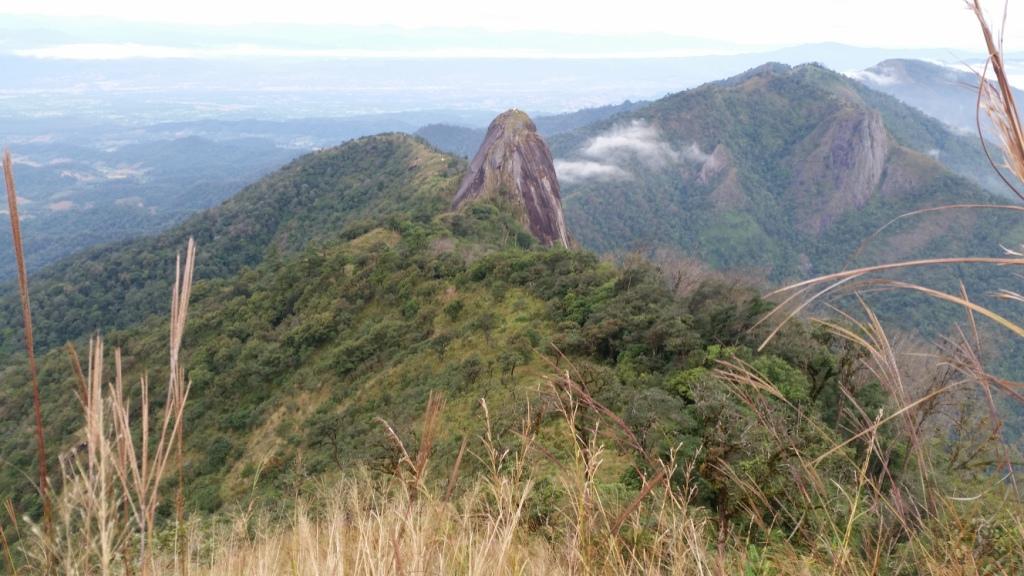 2017-11-10 07.33.52.jpg