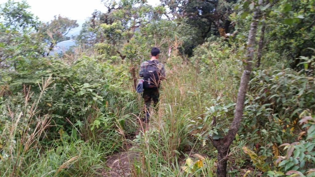 2017-11-10 07.41.02.jpg