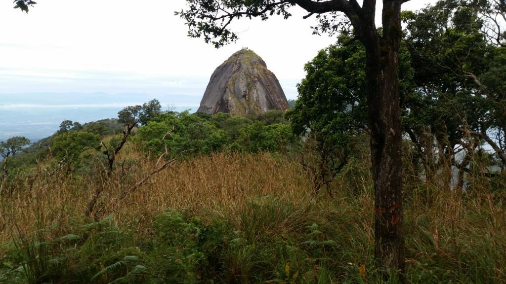 2017-11-10 07.47.42.jpg