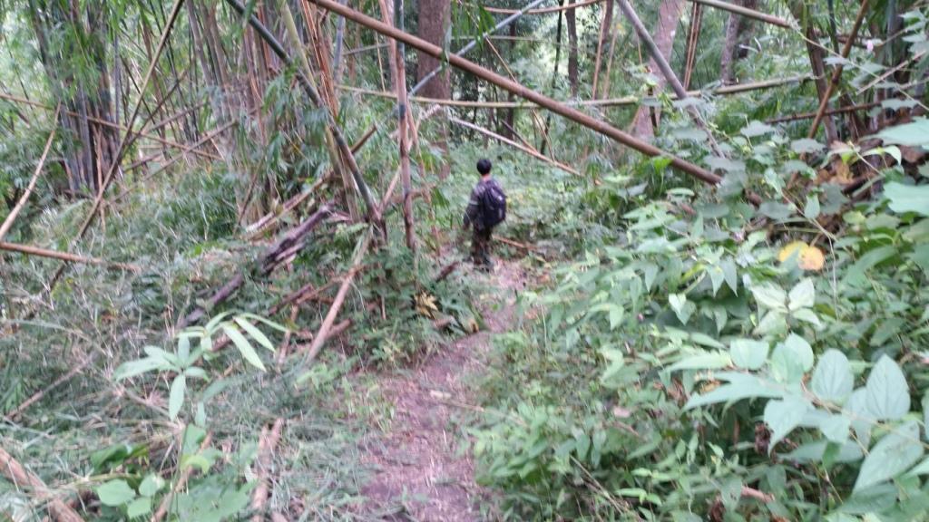 2017-11-10 09.20.56.jpg