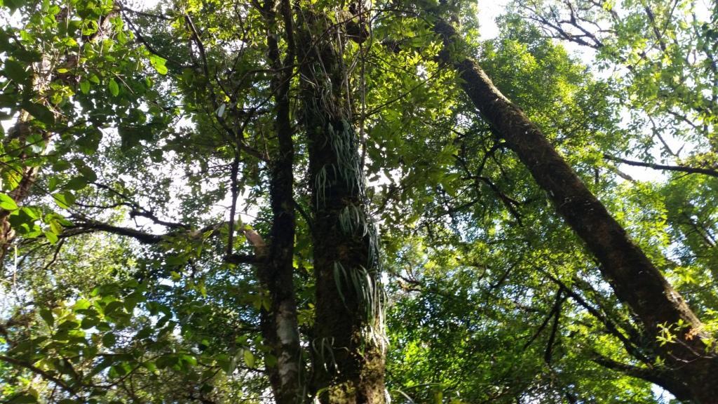 2017-12-15 13.56.41.jpg