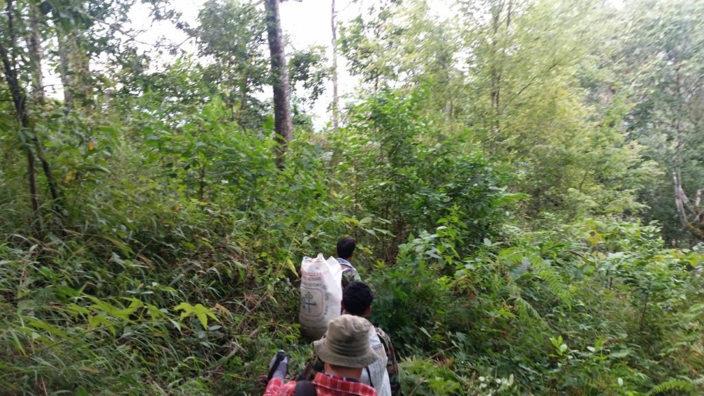 2017-12-16 14.42.43.jpg