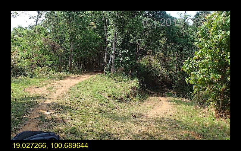 2017-4 Nanthaburi NP 11.jpg