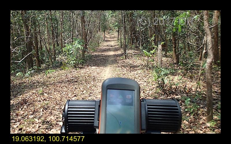 2017-4 Nanthaburi NP 3.jpg