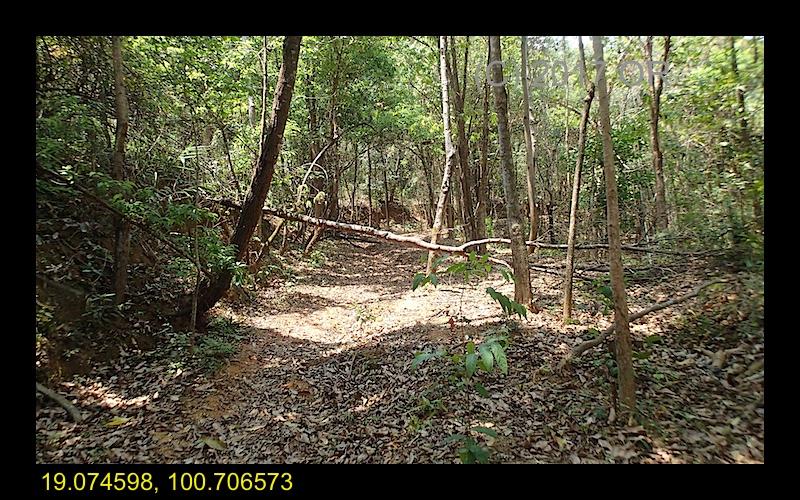 2017-4 Nanthaburi NP 5.jpg