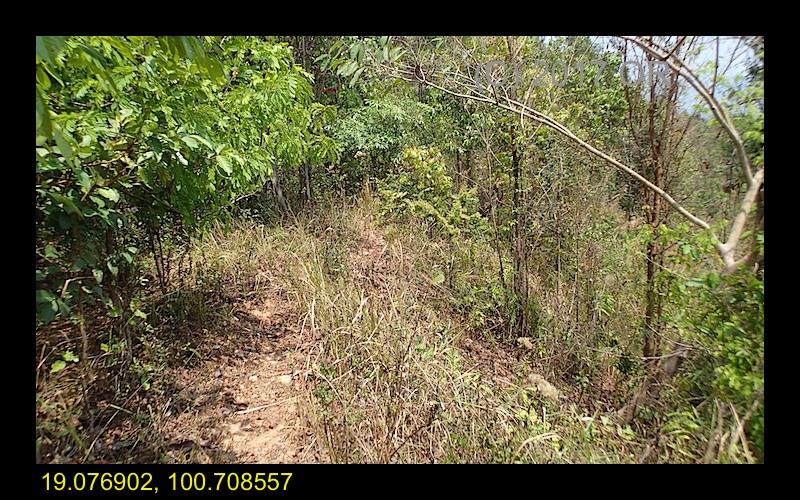 2017-4 Nanthaburi NP 6.jpg