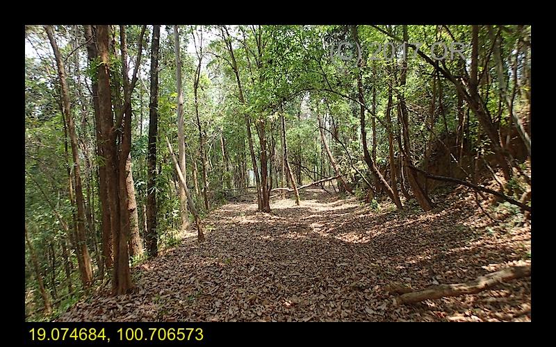 2017-4 Nanthaburi NP 7.jpg