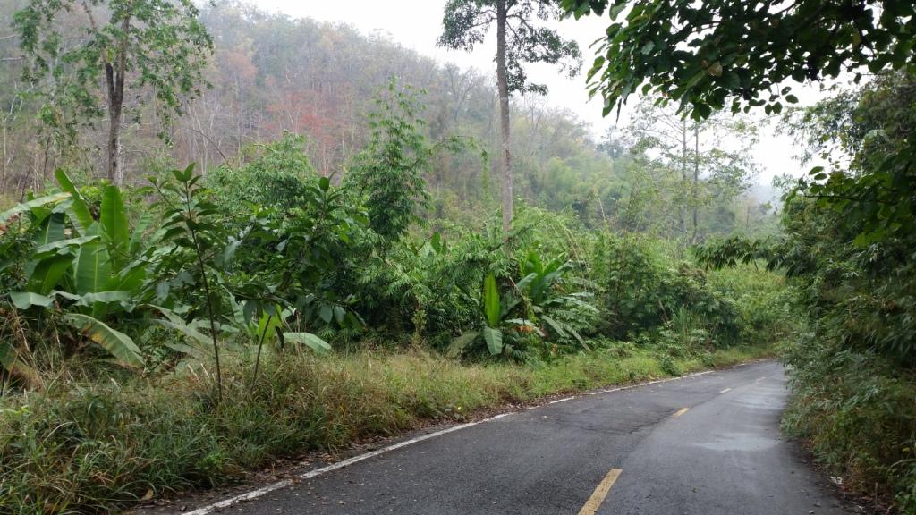 2018-02-23 09.58.06.jpg