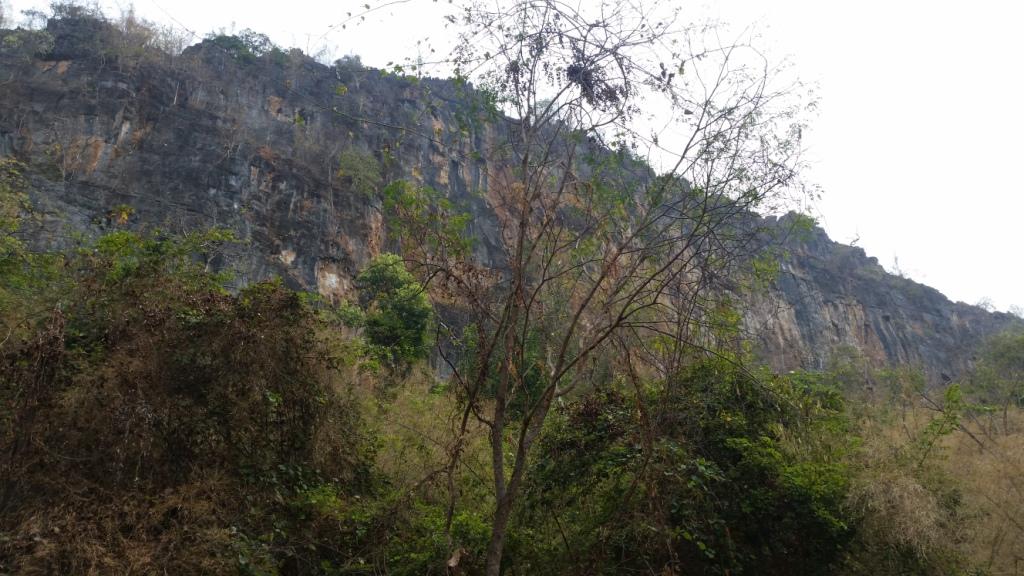 2018-02-23 12.00.01.jpg