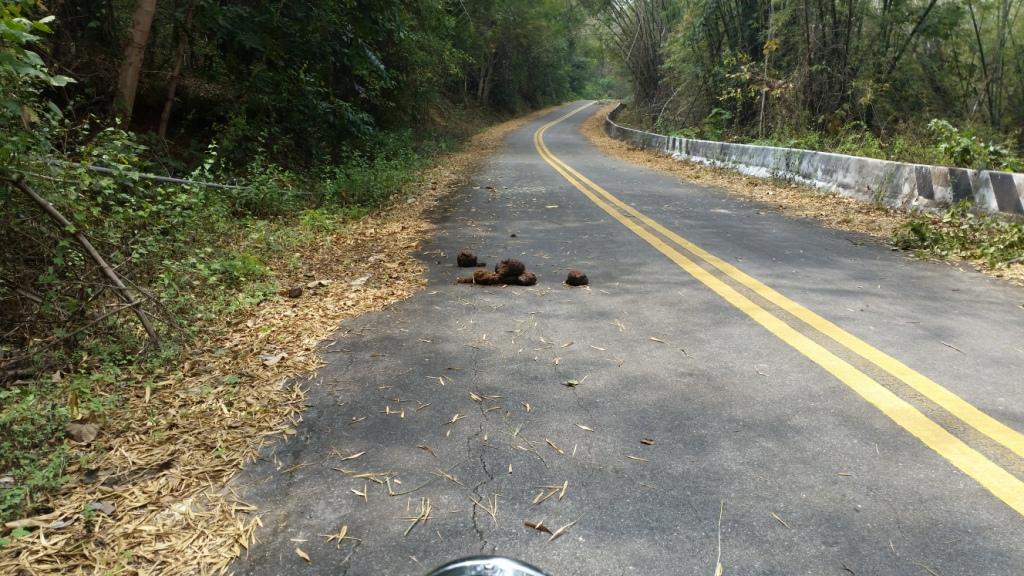 2018-02-23 12.56.21.jpg