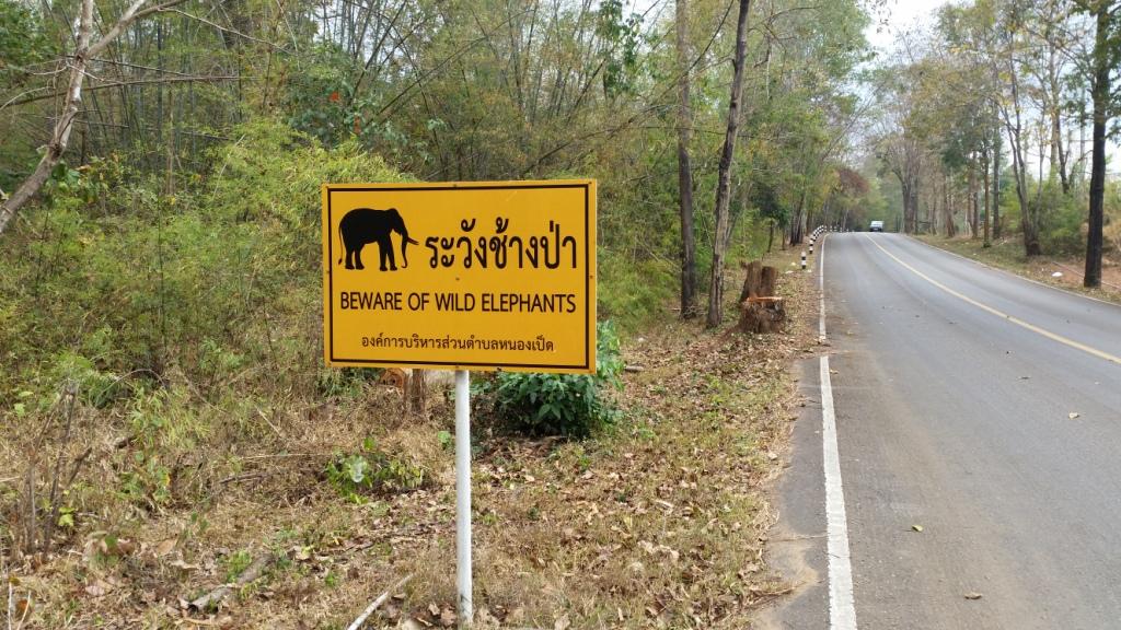 2018-02-23 13.26.31.jpg