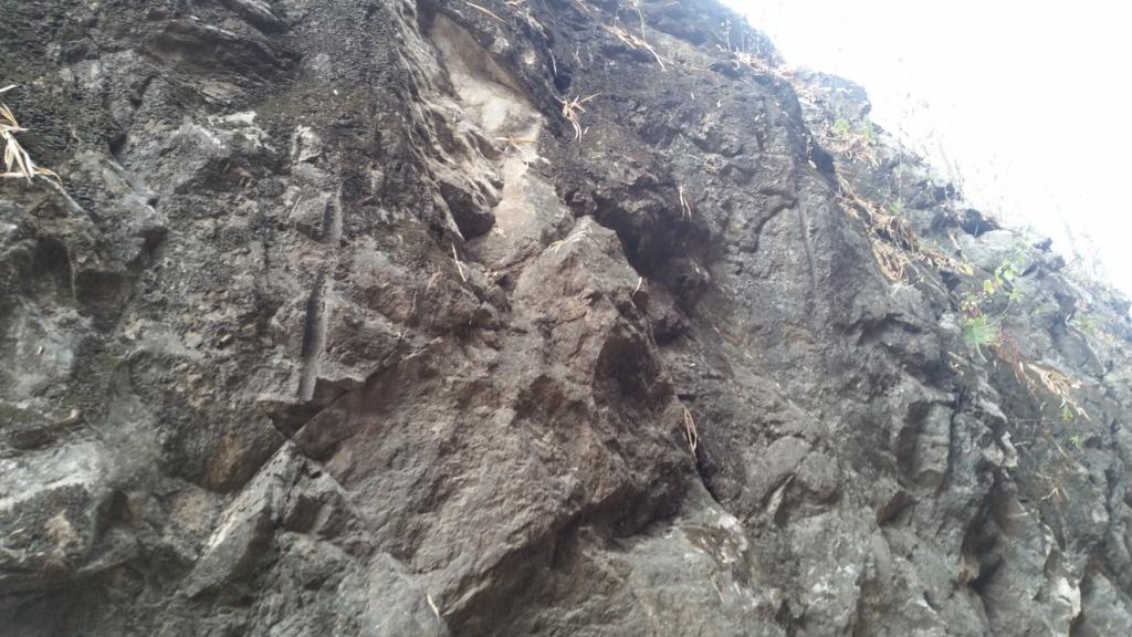 2018-02-25 12.13.22.jpg