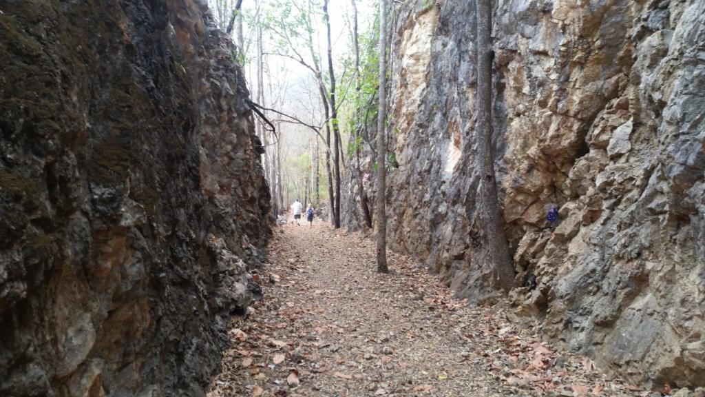 2018-02-25 13.10.21.jpg