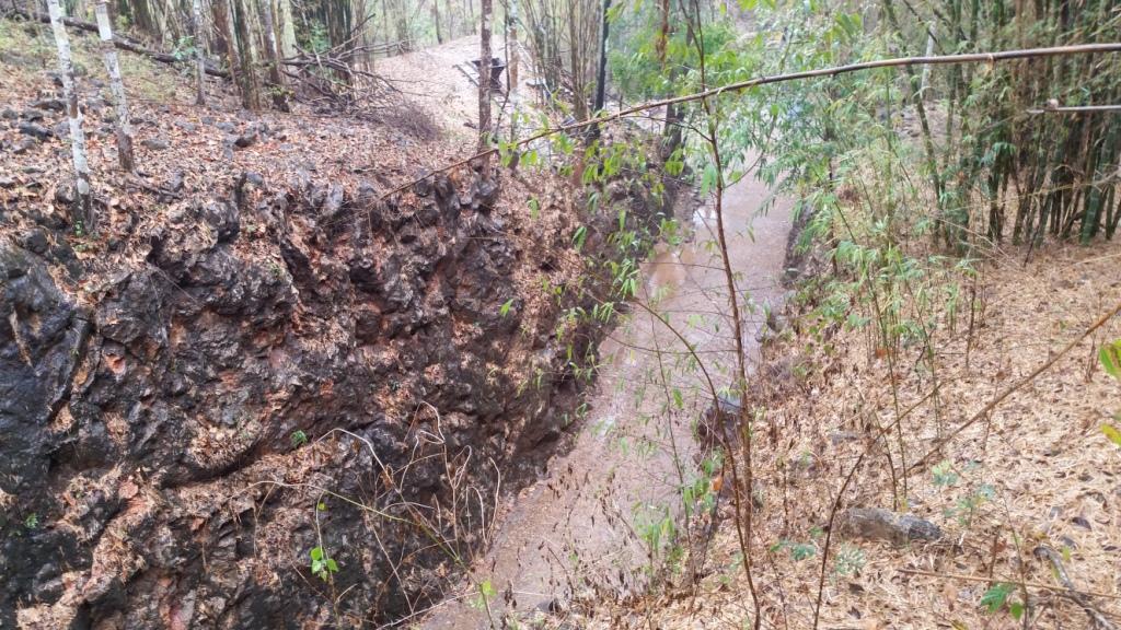 2018-02-25 14.29.08.jpg