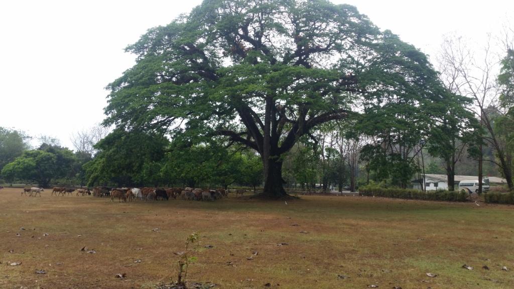 2018-02-25 15.10.35.jpg