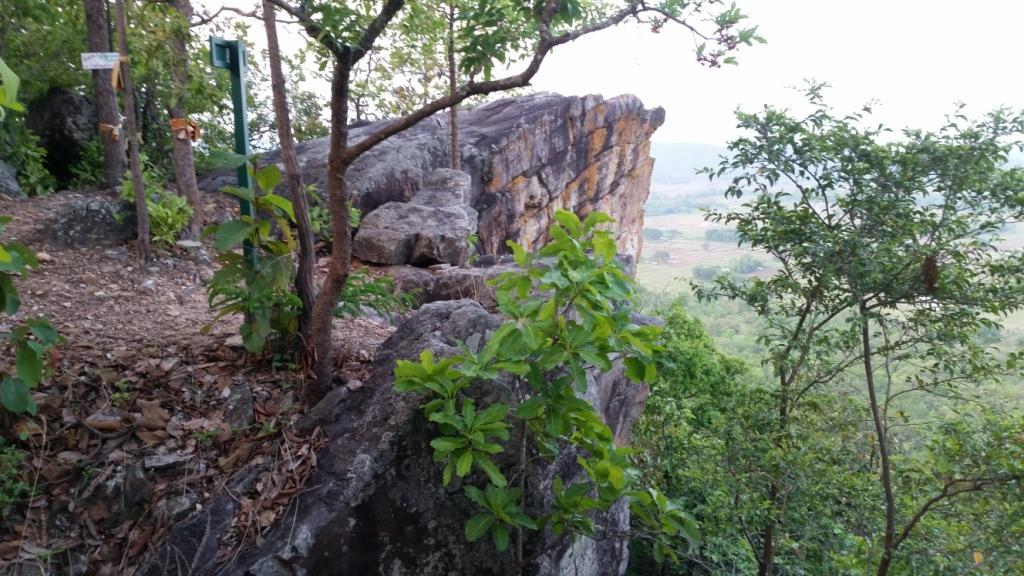 2018-05-07 18.08.53.jpg