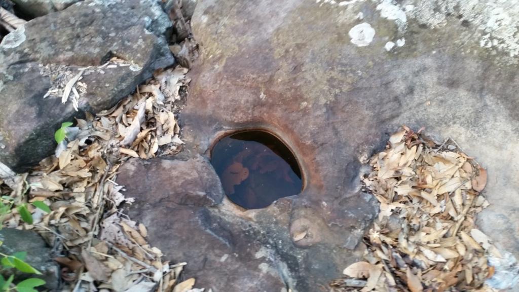 2018-05-07 18.23.38.jpg