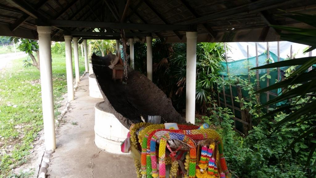 2018-05-08 08.14.27.jpg