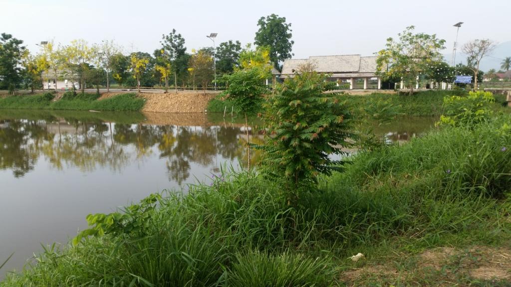 2018-05-08 08.18.10.jpg