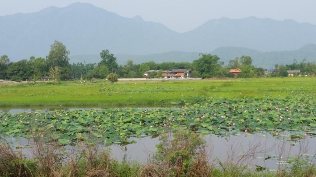 2018-05-08 08.25.24.jpg