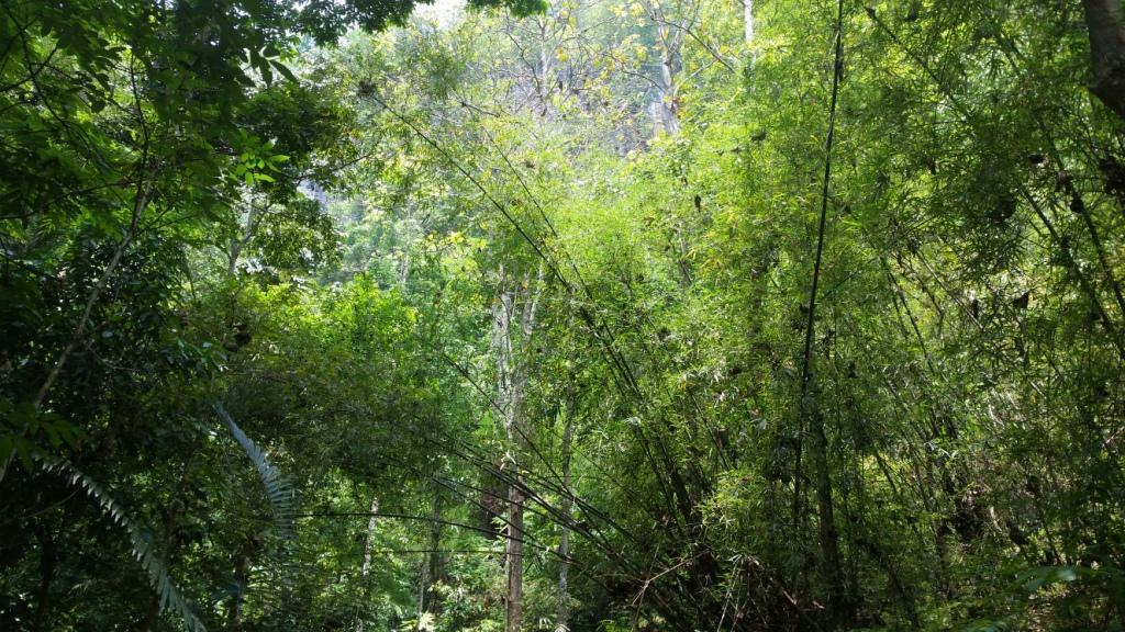 2018-05-08 11.34.09.jpg