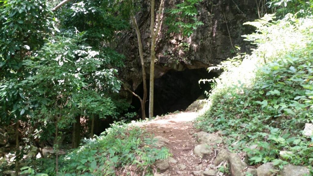 2018-05-08 11.35.23.jpg