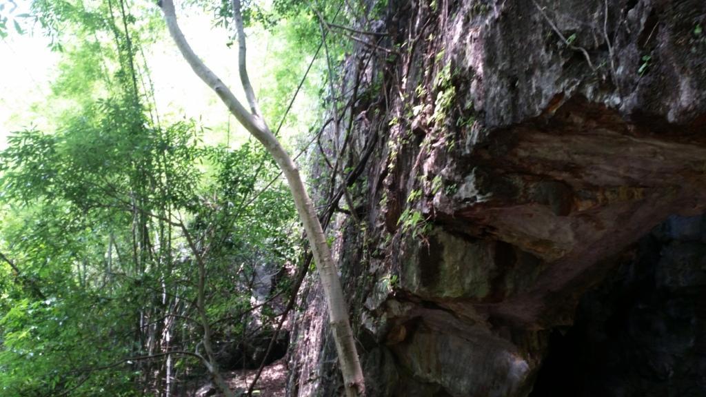 2018-05-08 11.36.30.jpg