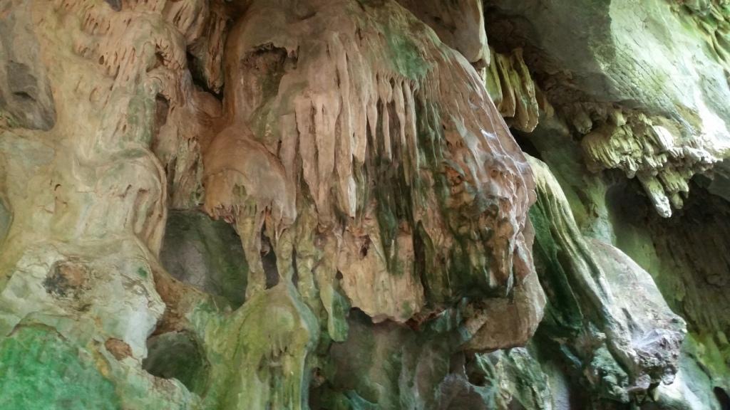 2018-05-08 11.37.26.jpg