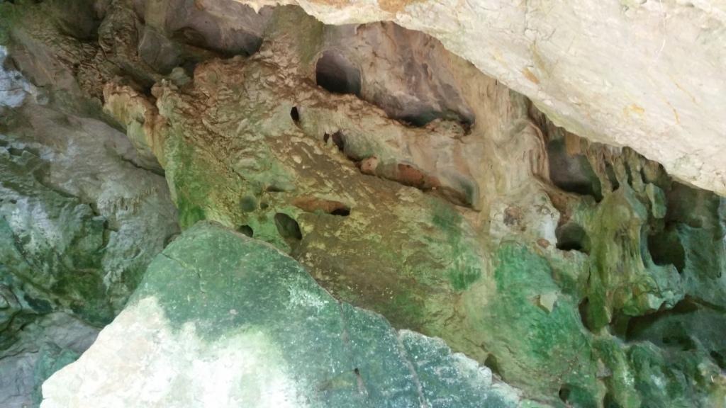 2018-05-08 11.42.34.jpg