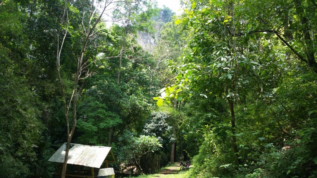 2018-05-08 11.47.41.jpg