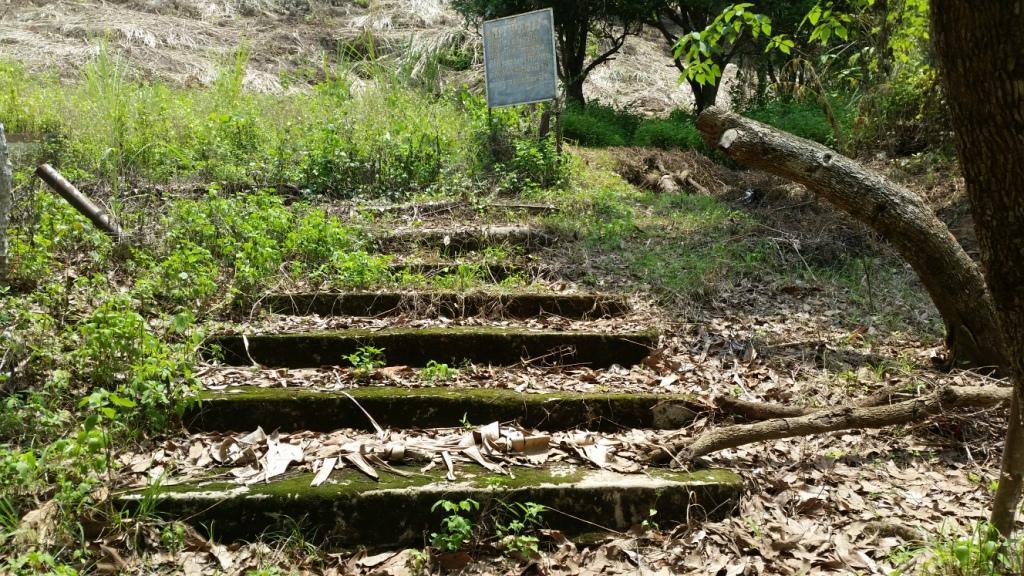 2018-05-08 13.12.08.jpg