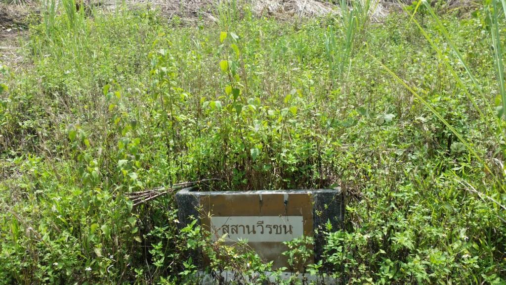 2018-05-08 13.14.41.jpg