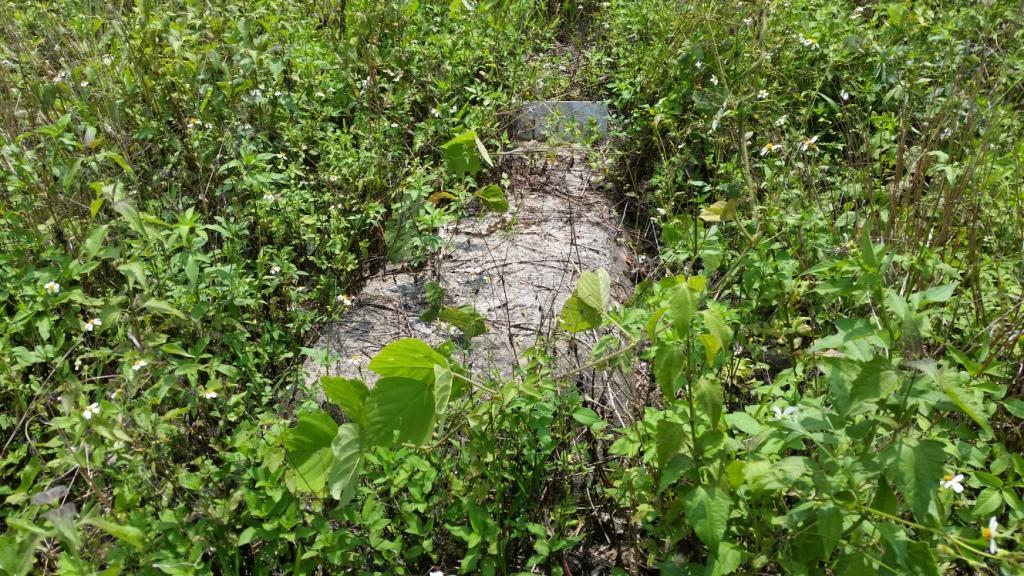 2018-05-08 13.15.43.jpg