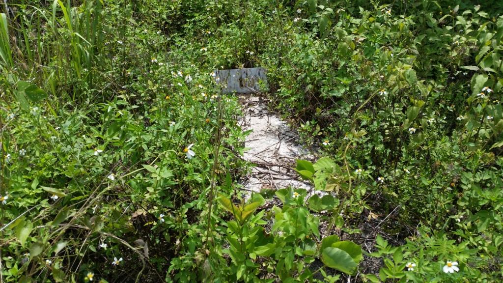 2018-05-08 13.15.58.jpg