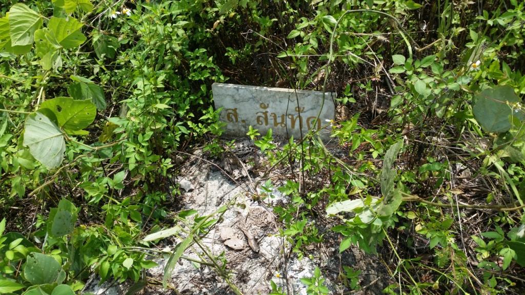 2018-05-08 13.16.48.jpg