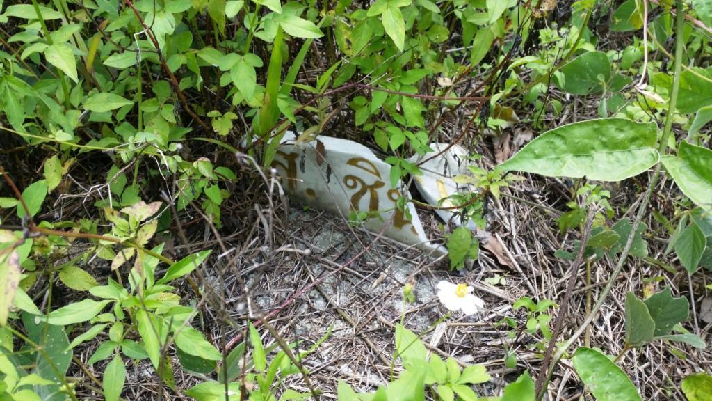 2018-05-08 13.17.08.jpg